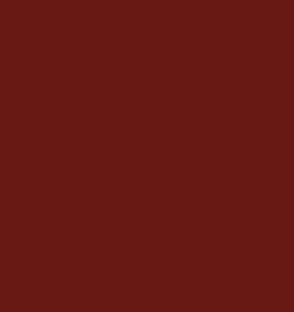 CYBELE Matte Lipstick 5gm