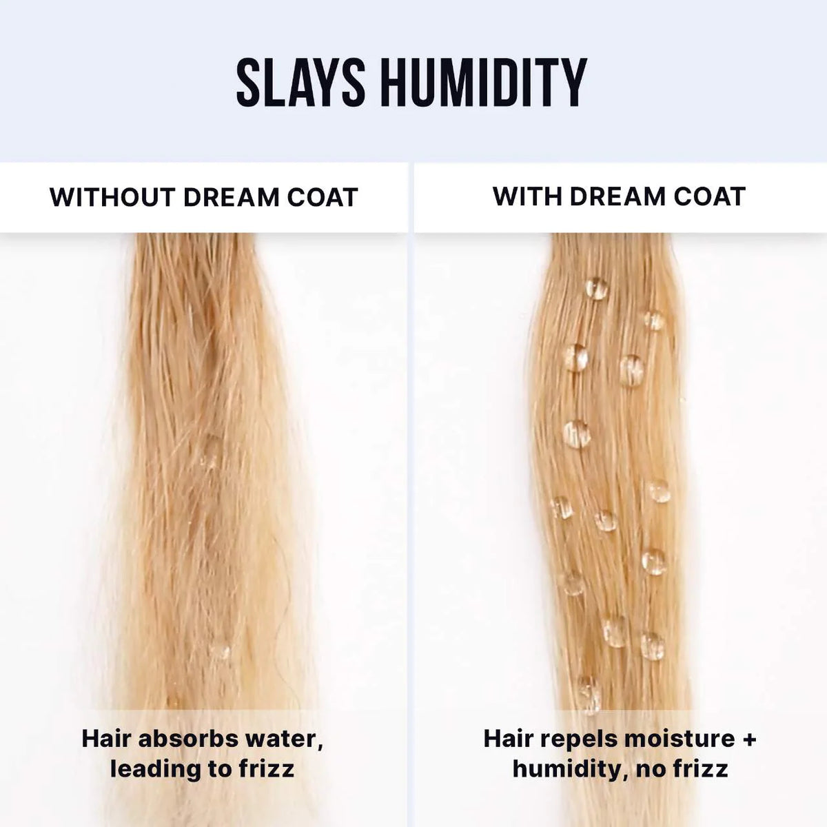 Color Wow Dream Coat