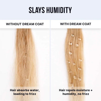 Color Wow Dream Coat