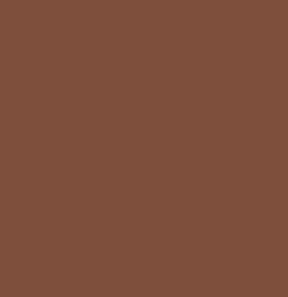 CYBELE Matte Lipstick 5gm