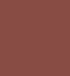 CYBELE Matte Lipstick 5gm